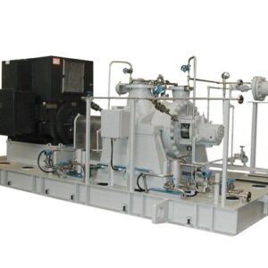 Ebara Pump model R2/R2D