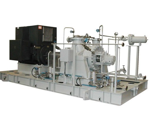 Ebara Pump model R2/R2D