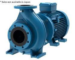 Ebara Pump model GSD